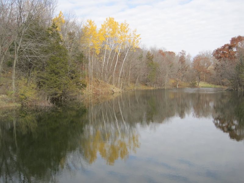 A finished pond in the fall, with yellow trees reflected in still water
