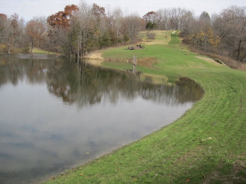 Finished farm pond with a seeded, mowed grass bank
